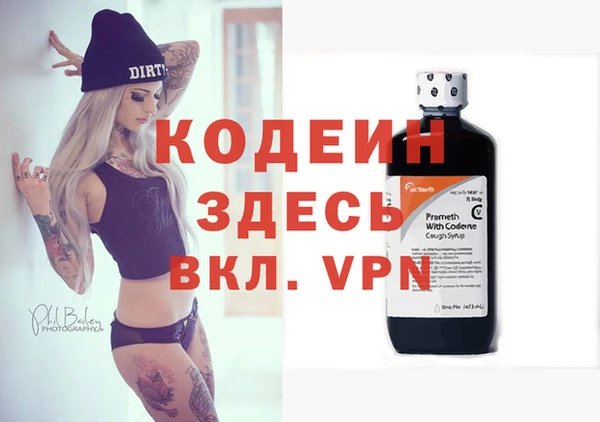 хмурый Алексин