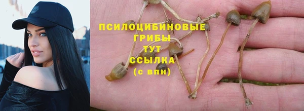 ALPHA PVP Алзамай