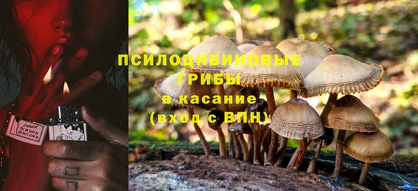 твердый Алексеевка