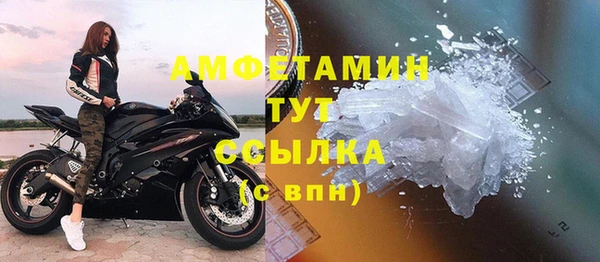 хмурый Алексин
