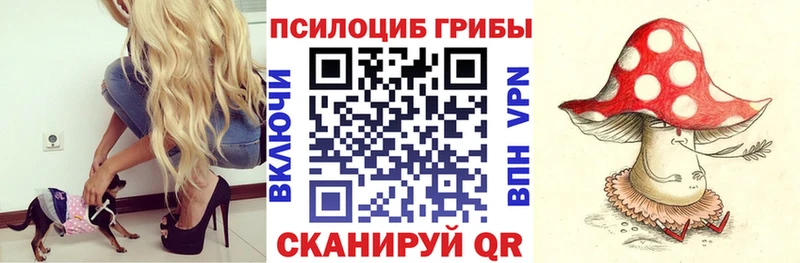 где продают   Мамоново  Псилоцибиновые грибы Cubensis 