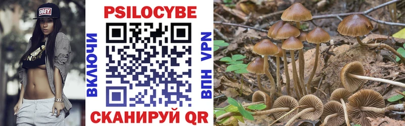 Галлюциногенные грибы GOLDEN TEACHER Мамоново
